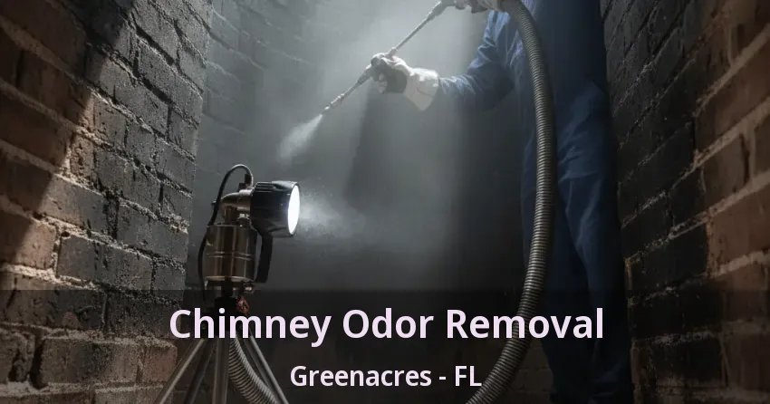 Chimney Odor Removal Greenacres - FL