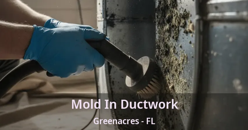 Mold In Ductwork Greenacres - FL Mold In Ductwork Greenacres - FL